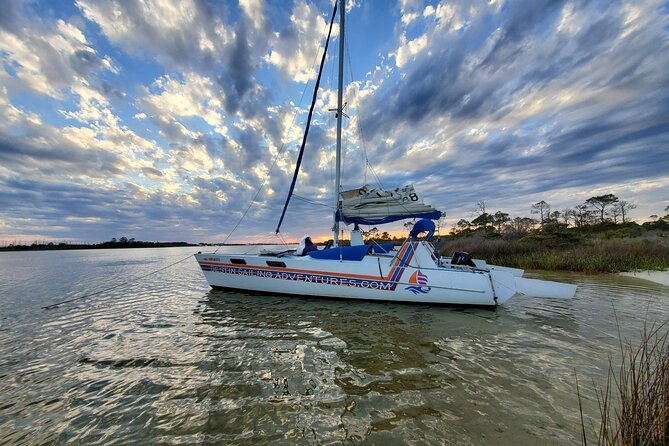 Private Catamaran Sunset Cruise with Dolphin watching - Dolphin watching, plus a chance at jellyfish