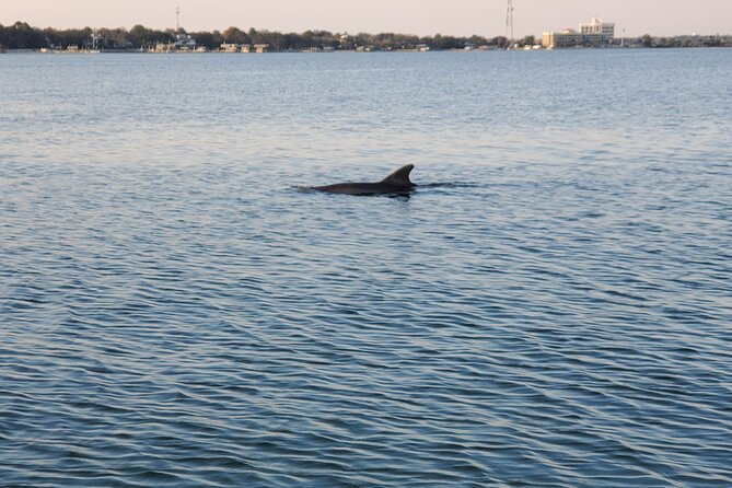 Private Catamaran Sunset Cruise with Dolphin watching - Is $360 a fair price for six people?