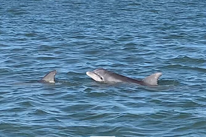 Private Charleston Dolphin and Eco Boat Tour - Setting out from 97 Center Street on Folly Beach