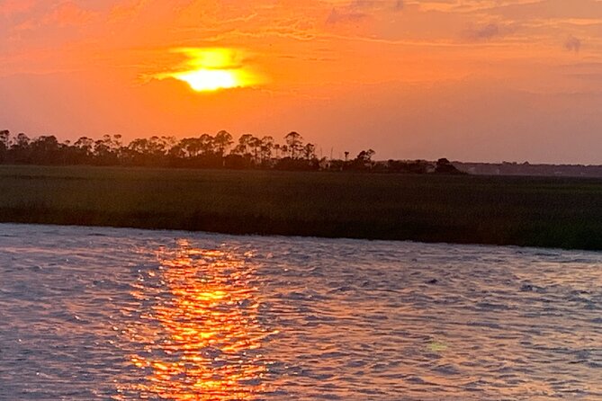 Private Charleston Sunset & Dolphin Cruise - Finding dolphins in Folly Beach’s creeks and inlets