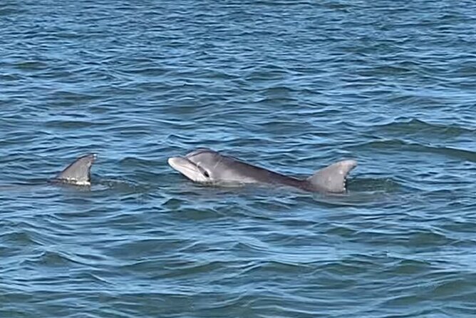 Private Charleston Sunset & Dolphin Cruise - Captain P.D. and the feel of the guiding