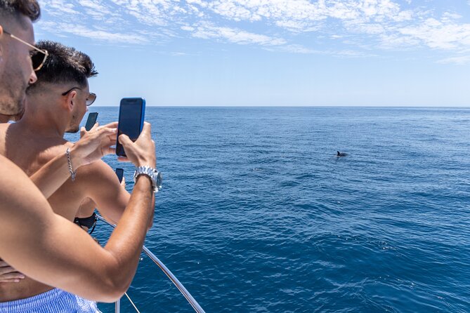 Private Coastline and Dolphins Yacht Cruise from Albufeira - Leaving Marina de Albufeira on time
