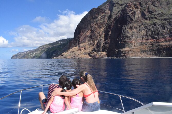 Private Dolphin and Whale Watching Tour in Madeira - Choosing the right departure time