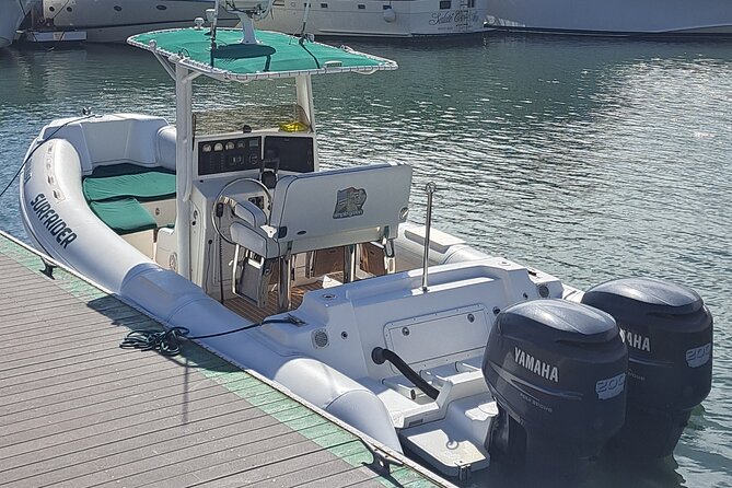 Private Dolphin and Whale Watching Tour in Newport Beach - Why the 2.5-hour length works