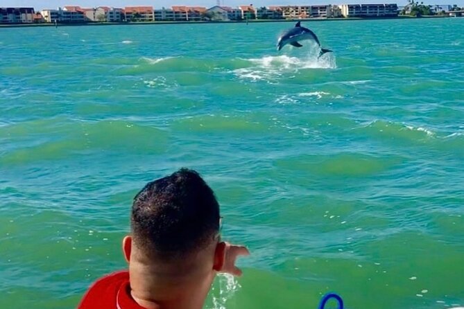 Private Dolphin & Architecture Tour in St. Petersburg, Fl - Islands, mansions, and celebrity homes