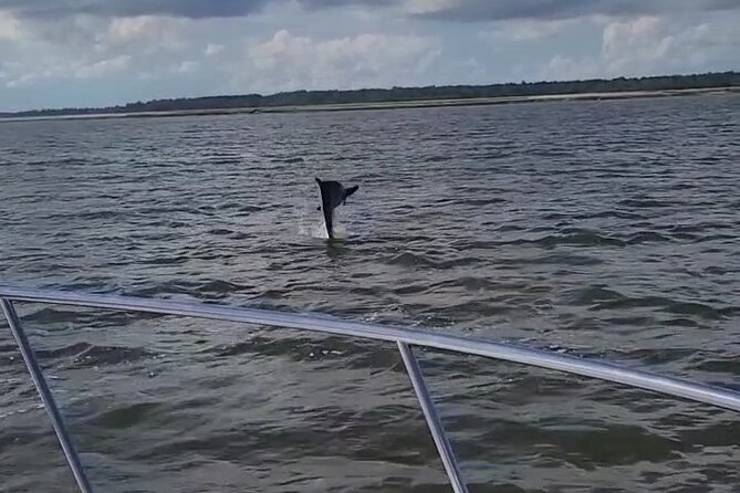 Private Dolphin Boat Tour in Hilton Head Island - What the $400 private rate really buys you