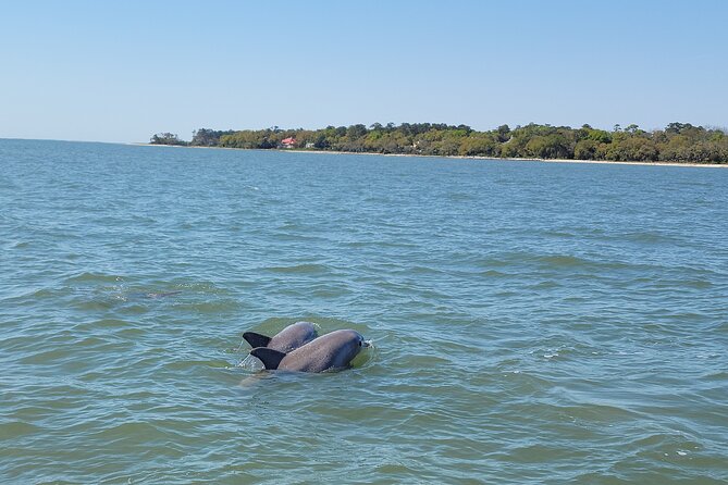 Private Dolphin Boat Tour in Hilton Head Island - Around Brams Point toward Calibogue Sound