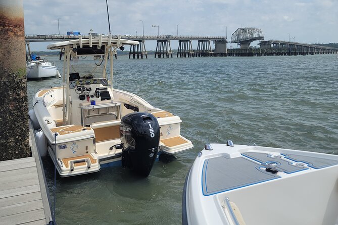 Private Dolphin Boat Tour in Hilton Head Island - The shallow water near Daufuskie