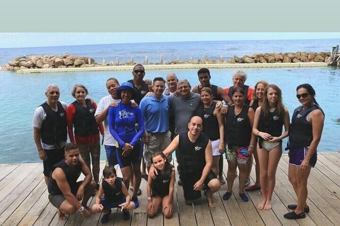 Private Dolphin Cove Adventure - The dolphin encounter is the reason to come