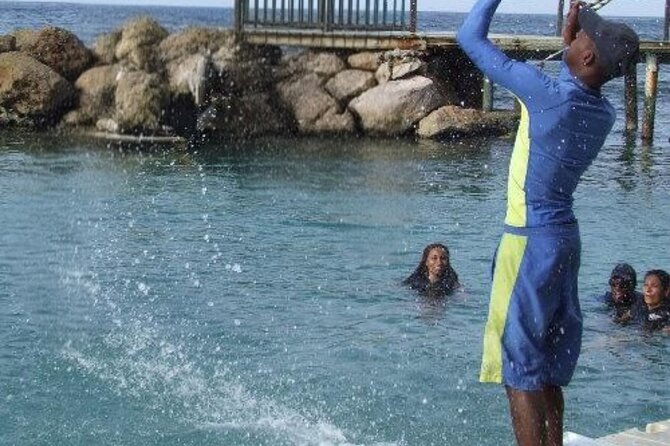 Private Dolphin Cove Adventure - Safety, comfort, and who will enjoy it most