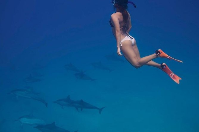 Private Dolphin House Boat Tour with Snorkeling & Lunch– Hurghada - Out toward Dolphin House and Giftun Island