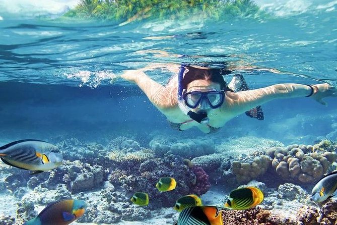Private Dolphin House Boat Tour with Snorkeling & Lunch– Hurghada - What the private format really gives you