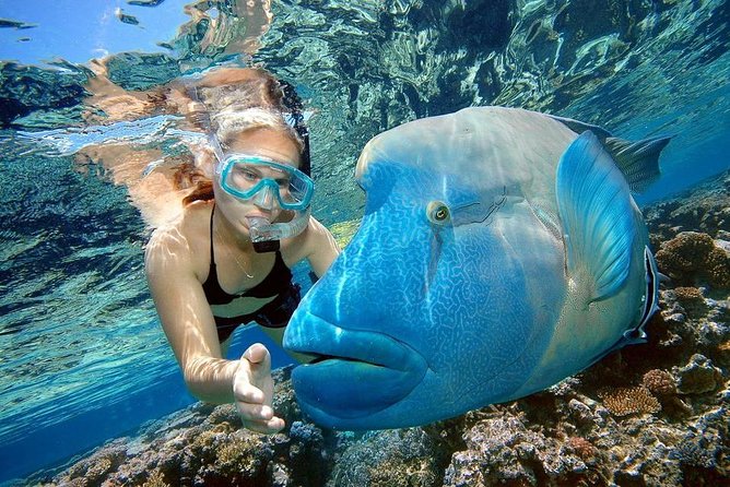 Private Dolphin House Boat Tour with Snorkeling & Lunch– Hurghada - The extra charges you need to budget