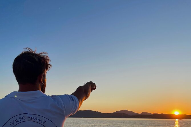 Private Dolphin Sighting Tour with Aperitif - Why the dolphin search is the heart of the trip