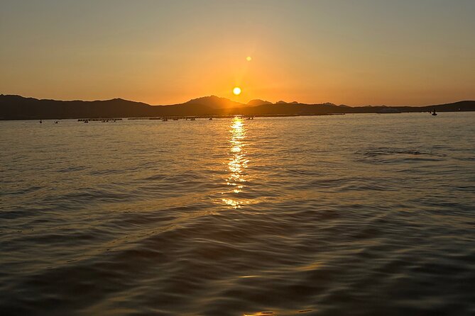 Private Dolphin Sighting Tour with Aperitif - Is the $96.02 group price good value?