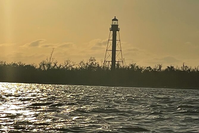Private Dolphin & Sightseeing Boat Day Tour - Why this private Cape Coral cruise works so well