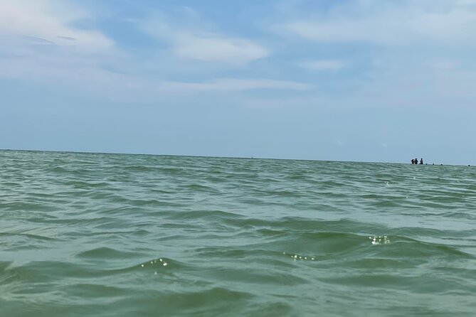 Private Dolphin & Sightseeing Boat Day Tour - Who should book this boat tour?