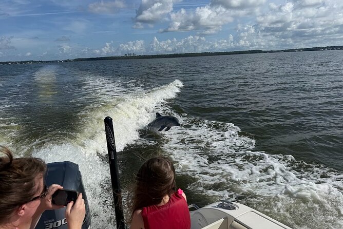 Private Dolphin Sightseeing Excursion - Island stops, swimming, and snorkeling