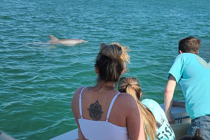Private Dolphin Sightseeing Excursion - Handling motion, sun, and changing weather