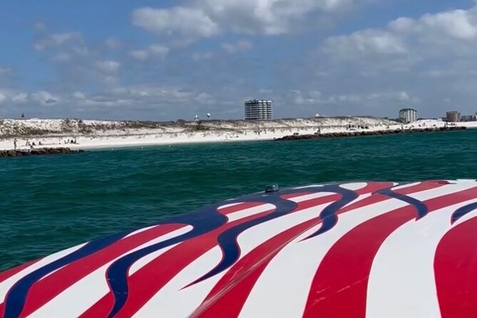 Private Dolphin Spotting Thrill Ride in Destin - The price: good value for the right group