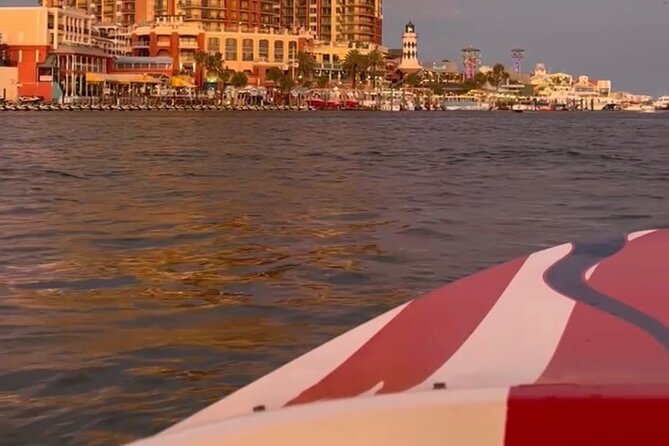 Private Dolphin Spotting Thrill Ride in Destin - Practical tips for getting the most from the ride