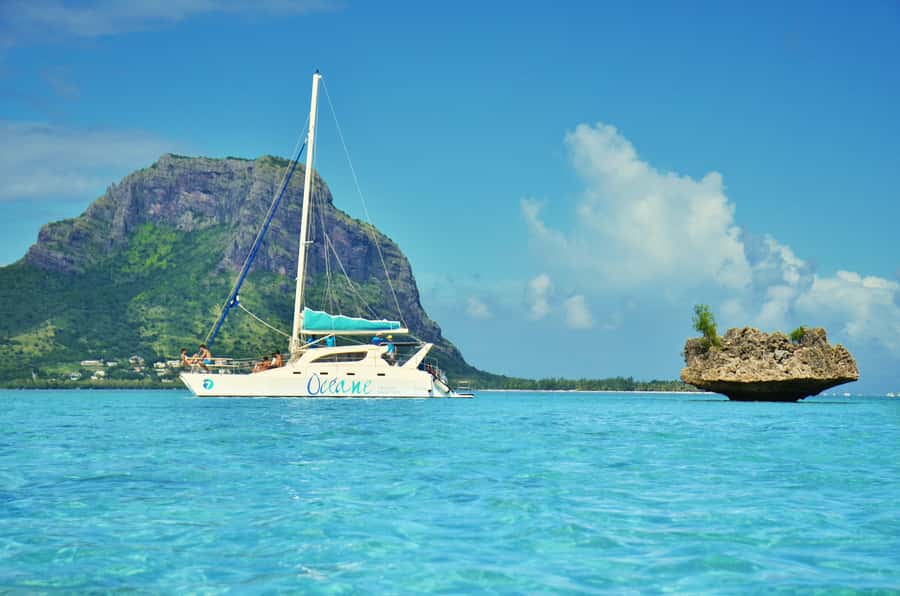 Private Dolphin Swim/Snorkeling & Lunch on Benitiers island - Meeting dolphins in Tamarin Bay