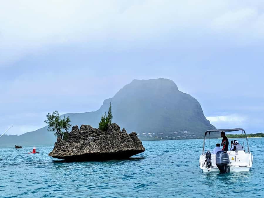 Private Dolphin Swim/Snorkeling & Lunch on Benitiers island - Arriving at Île aux Bénitiers for lunch