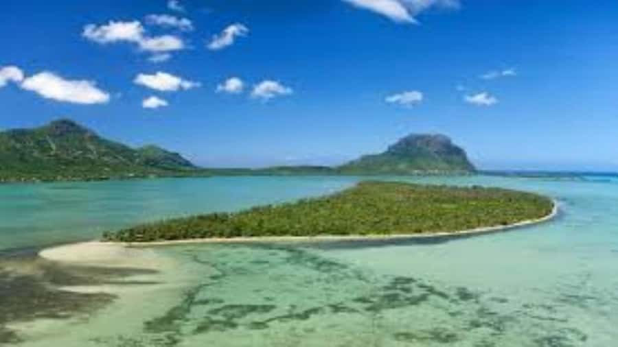 Private Dolphin Swim/Snorkeling & Lunch on Benitiers island - What to bring and how to prepare