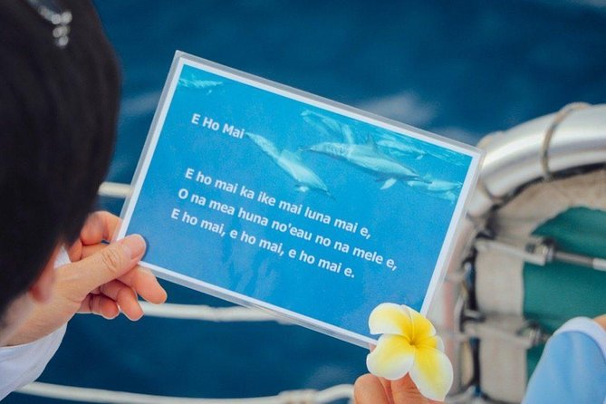 Private Dolphin Swim with Slide for up to 15 Passengers - Who will enjoy this most?