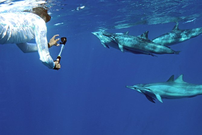Private Dolphin Swim with Slide for up to 15 Passengers - Watching for dolphins along Oahu’s west coast