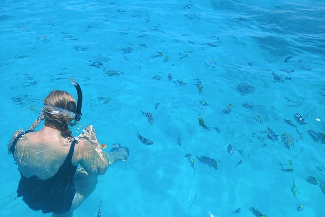Private Dolphin Tour and Snorkeling at Mnemba Island reef - What the $104.99 price really buys you