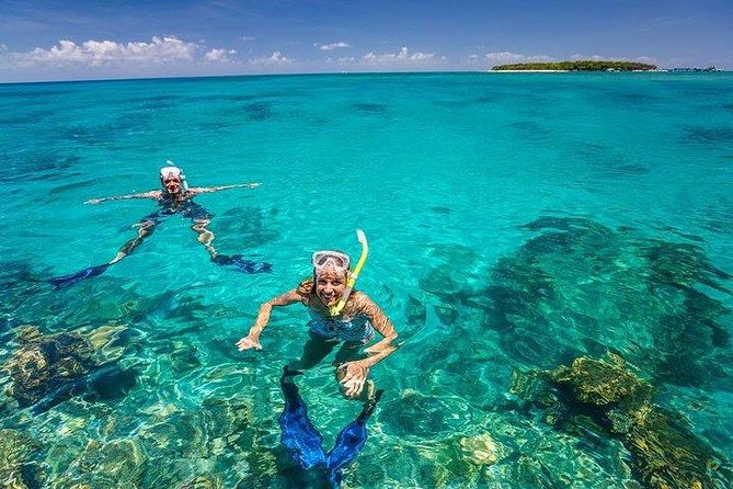 Private Dolphin Tour and Snorkeling at Mnemba Island reef - Who will enjoy this outing most