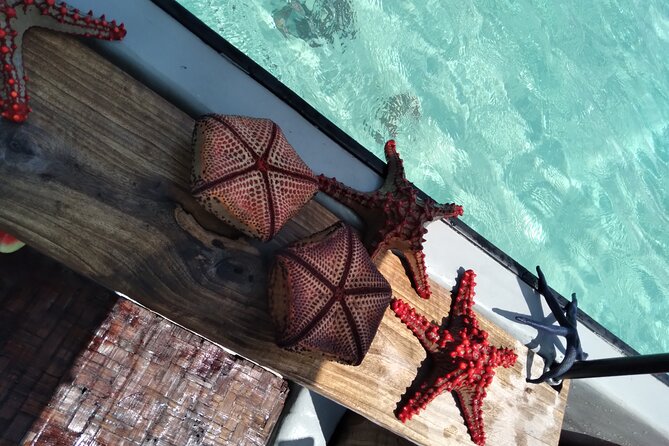 Private Dolphin Tour and Snorkeling at Mnemba Island reef - Finishing at the sandbank near Mnemba