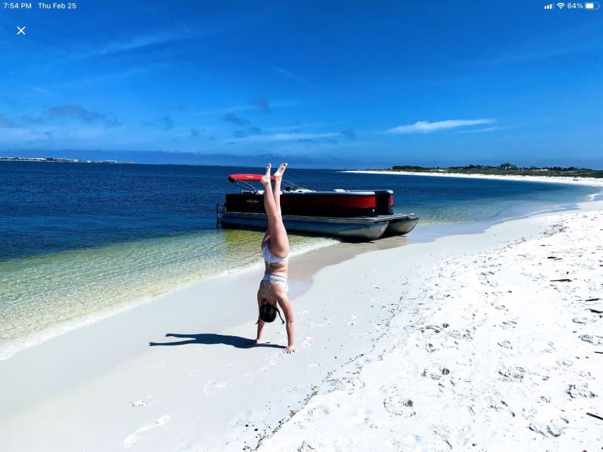 Private Dolphin Tour with Secluded Beach/Snorkel Stop - Why the private boat format matters