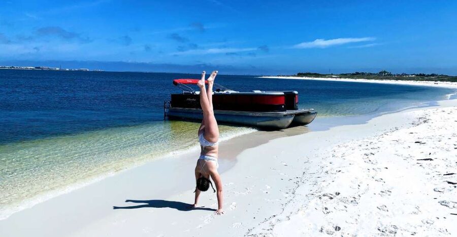 Private Dolphin Tour with Secluded Beach/Snorkel Stop - Should you book this Pensacola dolphin cruise?
