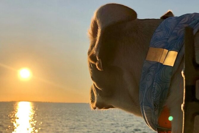 Private Dolphin Watch and Sunset Boat Tour Port Aransas Texas - Key things to know before you go