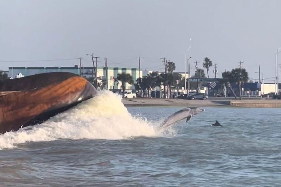 Private Dolphin Watch Boat Tour Port Aransas Texas - Cruising toward the Lydia Ann Channel lighthouse