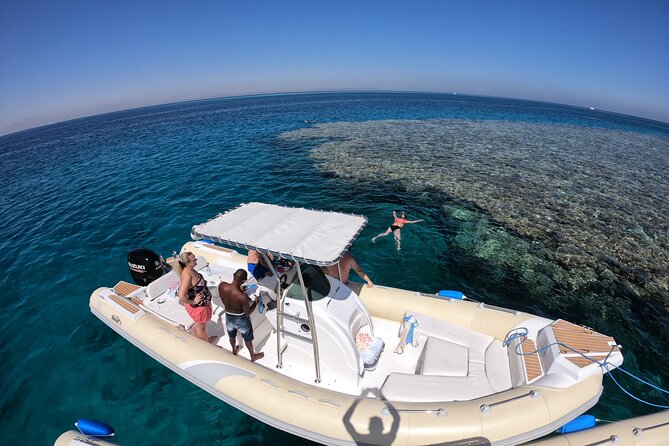 Private Dolphin Watching And Snorkeling Tour - A short private boat trip with three different moods