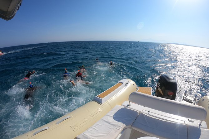 Private Dolphin Watching And Snorkeling Tour - What the $55 price really covers