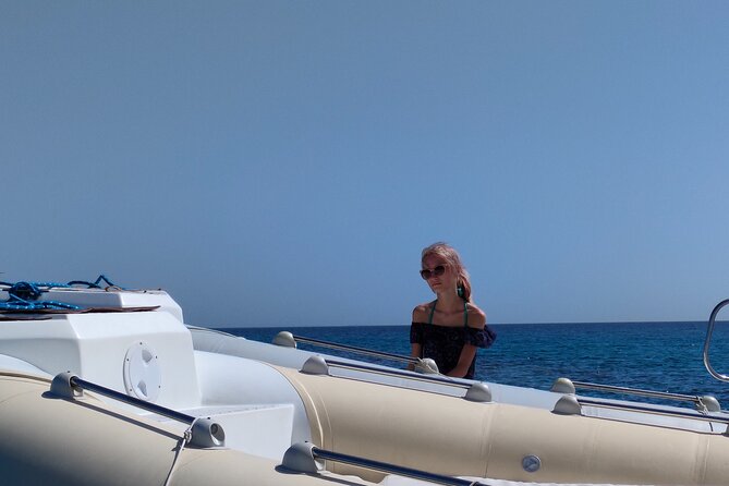 Private Dolphin Watching And Snorkeling Tour - Weather, cancellations, and realistic expectations