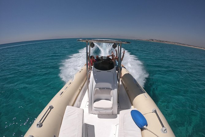 Private Dolphin Watching And Snorkeling Tour - Searching for dolphins in their natural setting