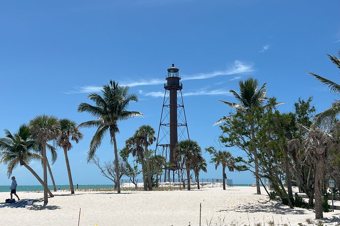 Private Dolphin Watching Beach Day Getaway - Is $689 a good value for six people?