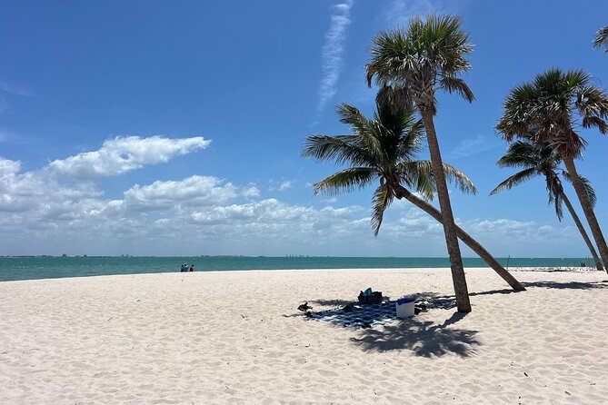 Private Dolphin Watching Beach Day Getaway - Should you book the Private Dolphin Watching Beach Day Getaway?