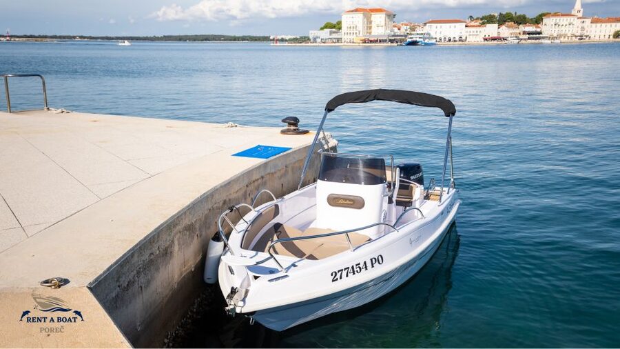 Private Family Dolphin Tour in Poreč - Who should book this Poreč dolphin tour?