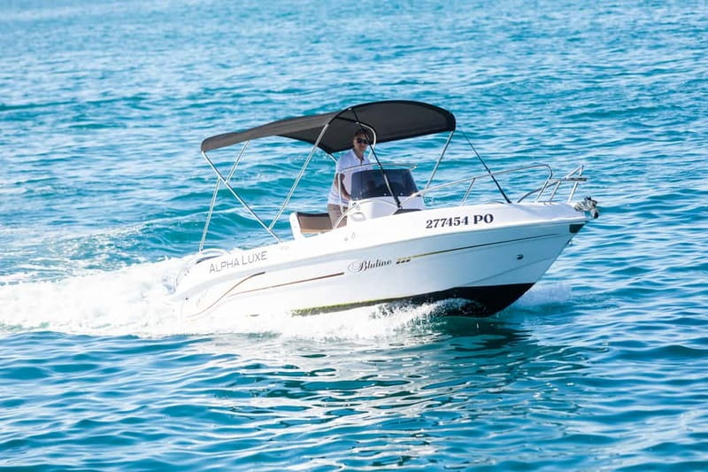 Private Family Dolphin Tour in Poreč - Searching for dolphins in their natural habitat