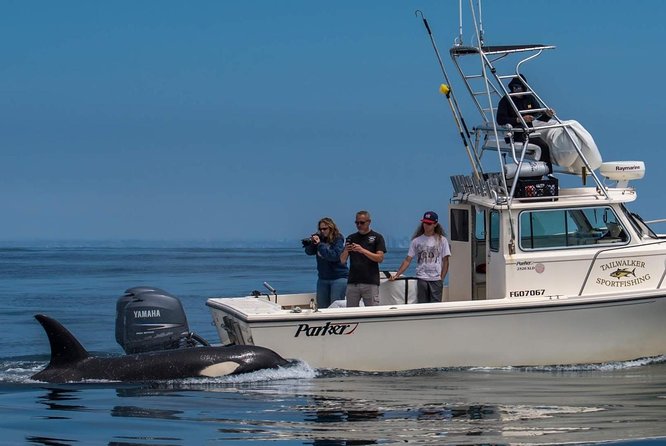 Private Family Whale & Dolphin Adventure in San Diego - Leaving Mission Bay for open water