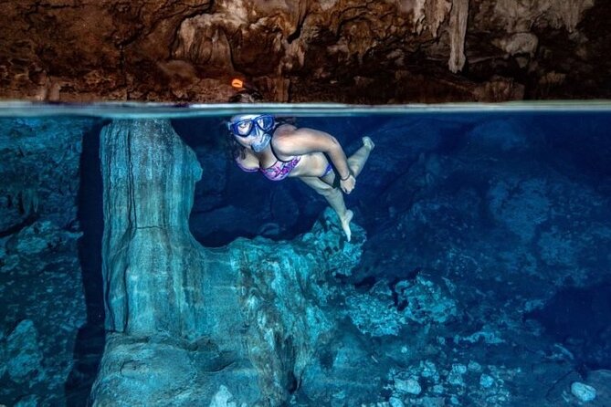 Private Full-Day: Dolphin & Monkey Jungle Adventure - Mnemba Island and the search for dolphins