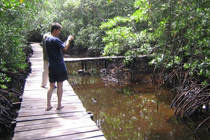 Private Full-Day: Dolphin & Monkey Jungle Adventure - Should you book this Zanzibar day tour?