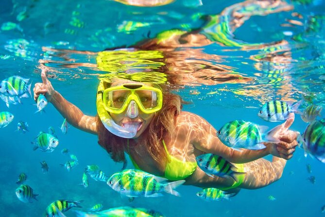 Private Full-Day Lovina Dolphin Watching and Snorkeling Boat Tour - The return to Seminyak and what 13 hours feels like