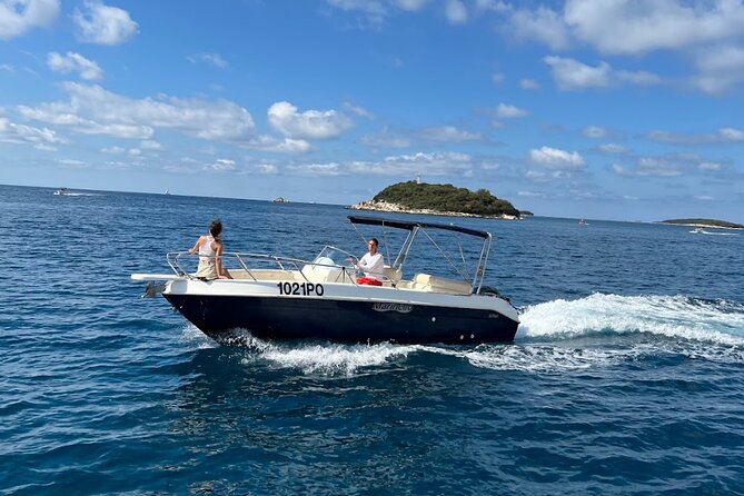 Private Guided Sunset Dolphin Watching in Adriatic Sea - Who will enjoy this most